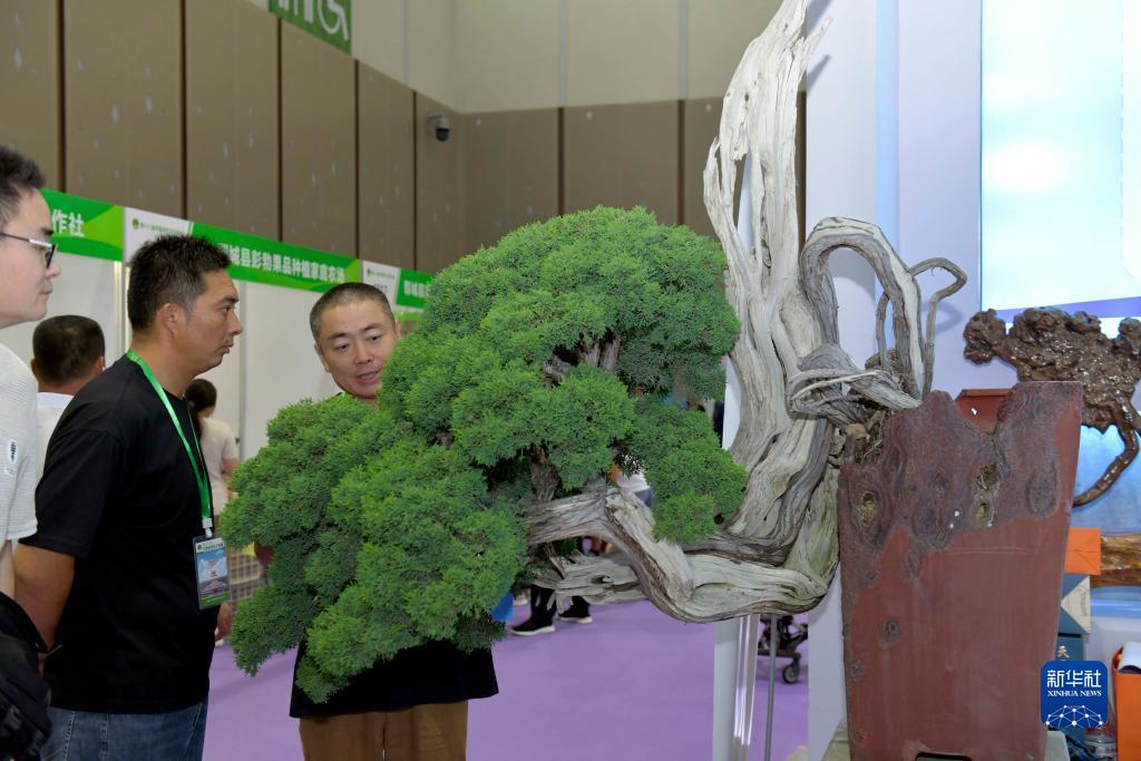 梭哈类手机游戏
